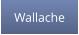 Wallache